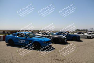 media/Sep-17-2023-Speed Ventures (Sun) [[7e780ba612]]/Green/Grid and Straight/